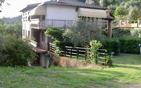 Villa Romolina